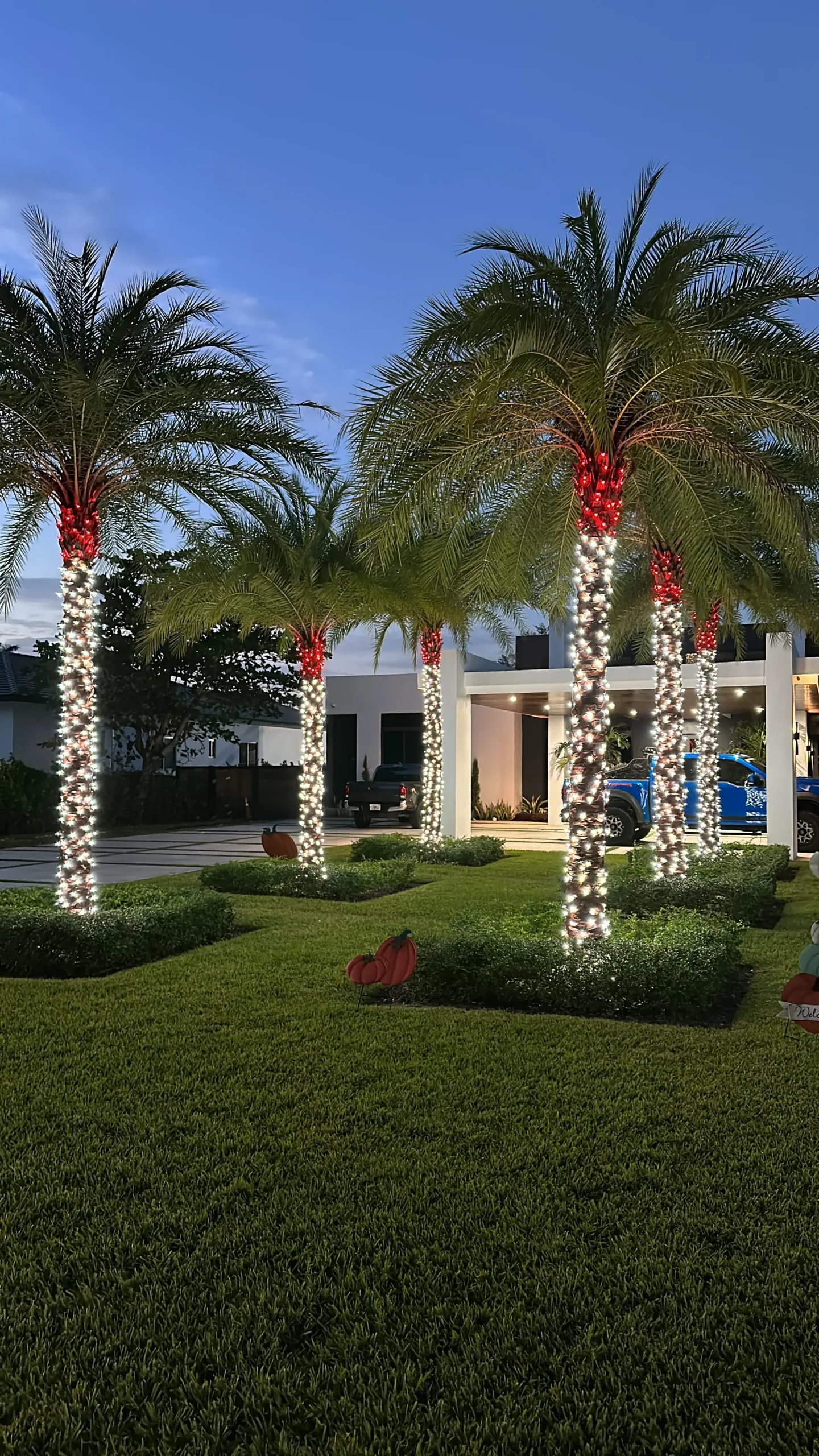 Palms wrapped in white lights with red accents