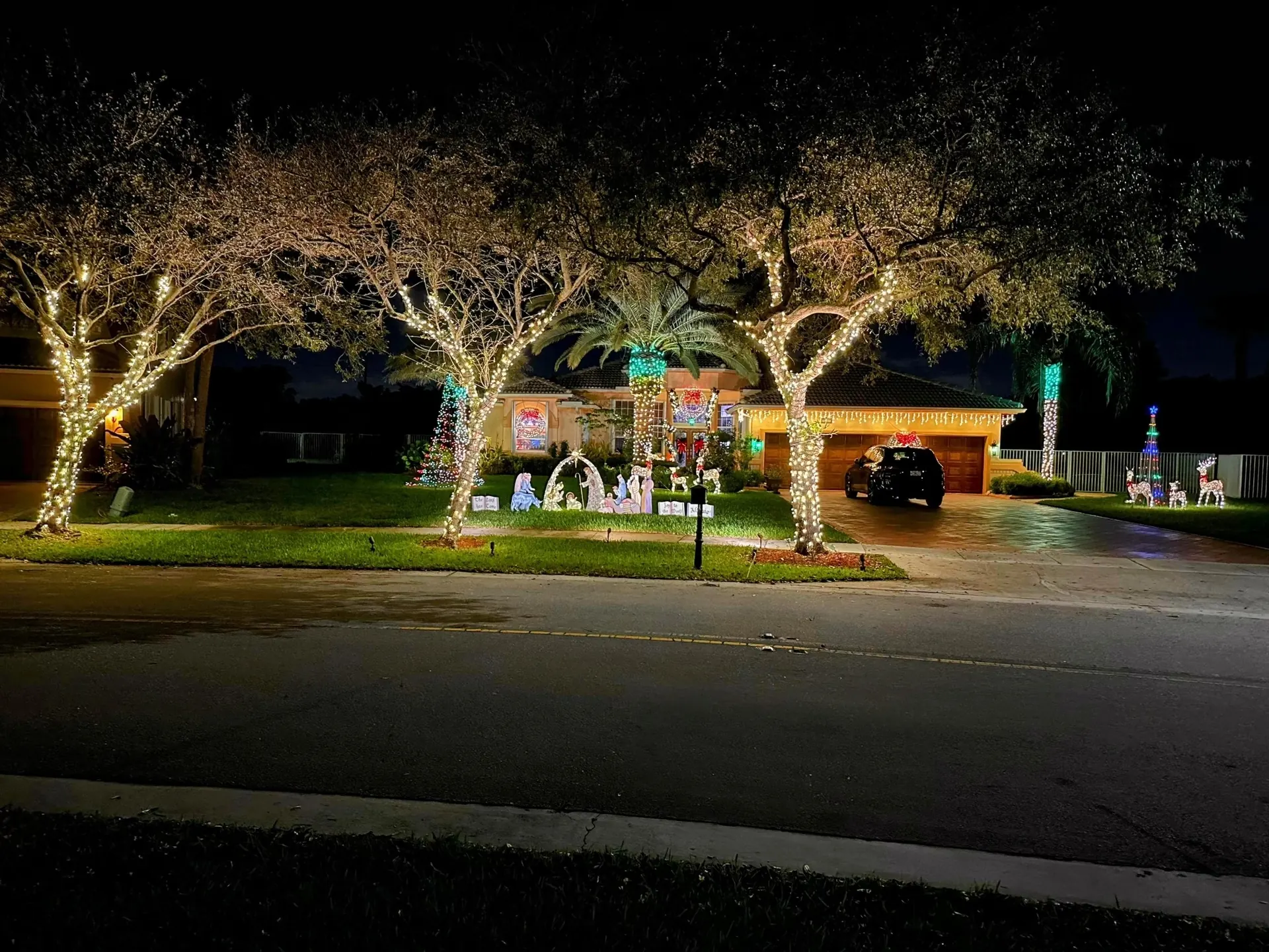 Trees and yard decor with Christmas lights